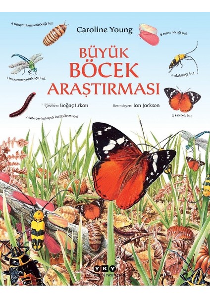 Büyük Böcek Araştırması