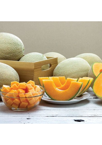 Top Kavun Tohumu Cantaloupe Melon Top Mark