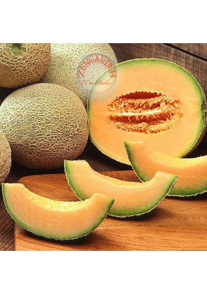 Top Kavun Tohumu Cantaloupe Melon Top Mark