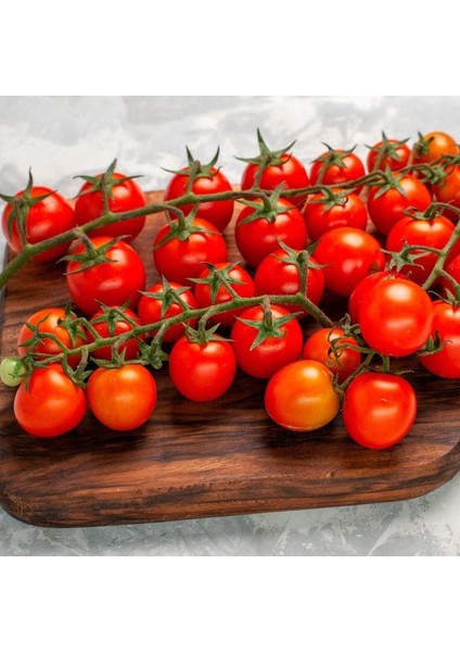 Ciliegia Salkım Domates Tohumu Geleneksel Kiraz Tipi Ciliegia Tomato Seeds fiyatları