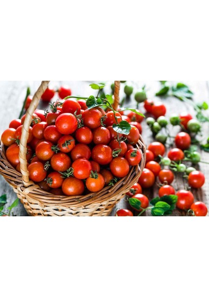 Ciliegia Salkım Domates Tohumu Geleneksel Kiraz Tipi Ciliegia Tomato Seeds fırsatları