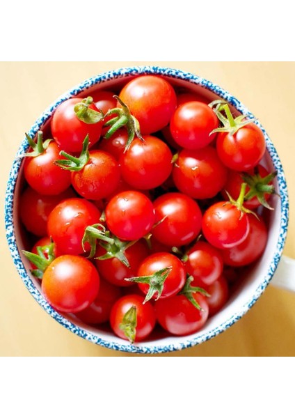 Geleneksel Mini Çeri Domates Tohumu Small Red Cherry fiyatları
