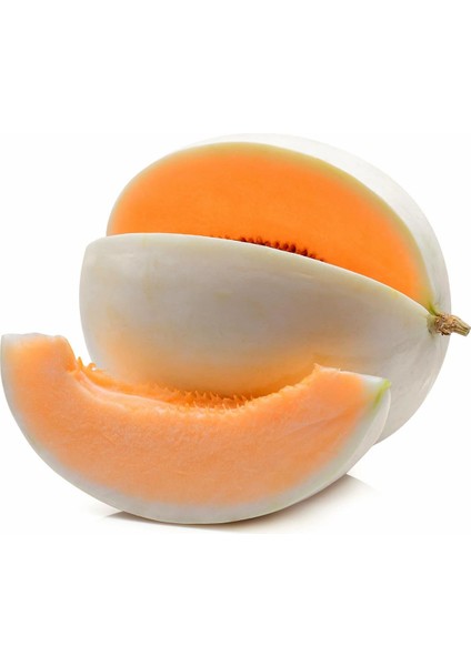 Top Kavun Tohumu Amerikan Honeydew Orange Flesh fiyatları