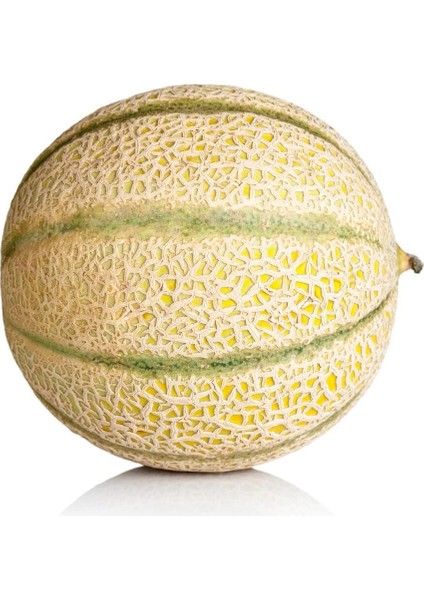 Minyatür Minesota Kavun Tohumu Geleneksel Minnesota Midget Melon Heirloom Seeds