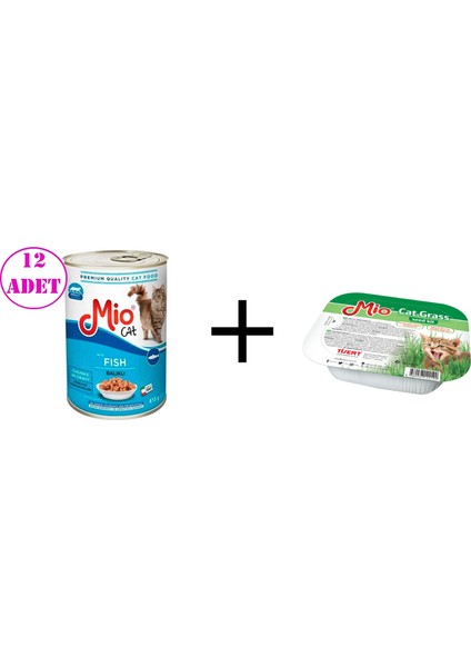 Kedi Konserve Balıklı Yaş Mama 12 Adet 415 gr + Kedi Çimi