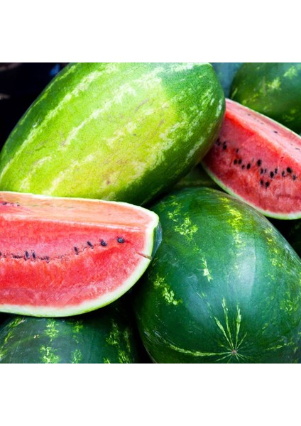 All Sweet Karpuz Tohumu Geleneksel All Sweet Heirloom Watermelon Seeds