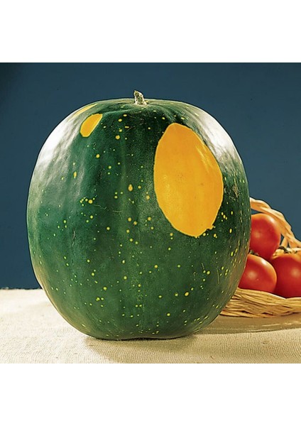 Moon And Stars Karpuz Tohumu Geleneksel Heirloom Watermelon Seeds