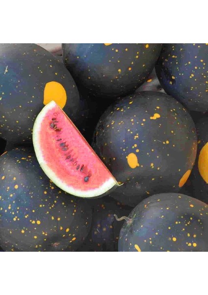 Moon And Stars Karpuz Tohumu Geleneksel Heirloom Watermelon Seeds