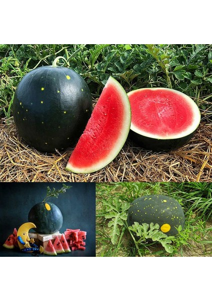 Moon And Stars Karpuz Tohumu Geleneksel Heirloom Watermelon Seeds