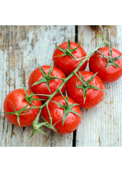 Iri Boy Çeri Domates Tohumu Big Red Cherry Kiraz Tipi Heirloom