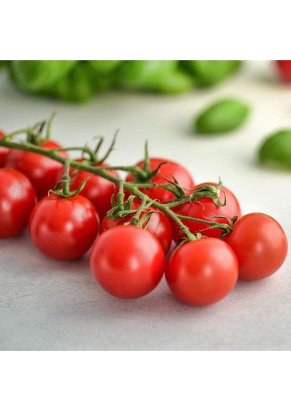 Iri Boy Çeri Domates Tohumu Big Red Cherry Kiraz Tipi Heirloom fırsatları