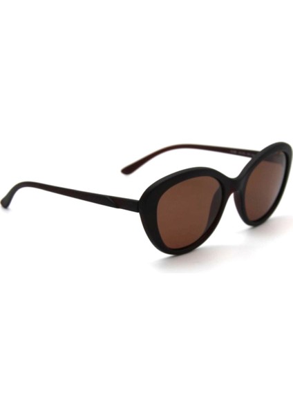 Swing Kadın Güneş Gözlüğü modelleri