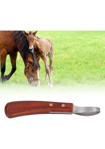 Toynak Düzeltici Makaslar, Kauçuk Ahşap Saplı Paslanmaz Çelik Toynak Düzeltici Makaslar Hayvancılık Için 19.5cm (Yurt Dışından) indirimleri