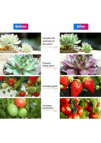 gr LED Grow Işık Şeridi Su Geçirmez Enerji Tasarruflu Tam Spektrum Kapalı Bitki Sebze Için Lamba Büyütün (Yurt Dışından) fiyatları