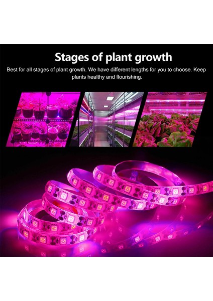 gr LED Grow Işık Şeridi Su Geçirmez Enerji Tasarruflu Tam Spektrum Kapalı Bitki Sebze Için Lamba Büyütün (Yurt Dışından) modelleri