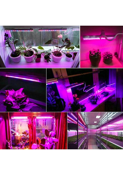 gr LED Grow Işık Şeridi Su Geçirmez Enerji Tasarruflu Tam Spektrum Kapalı Bitki Sebze Için Lamba Büyütün (Yurt Dışından) fırsatları