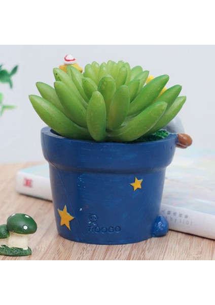 Mini Bitki Sulu Meyveler Için Saksı Saksı Kabı Little Princestar (Yurt Dışından) fırsatları