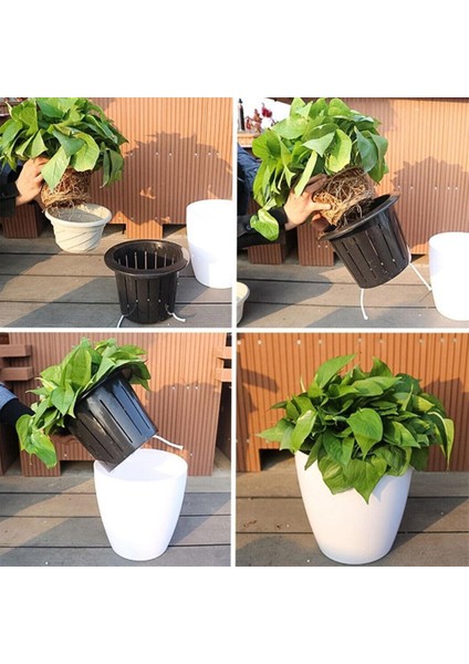 Duvara Monte Kapalı Otomatik Su Emici Saksı Plastik Saksı Etli Yeşil Dereotu Küçük Yeşil Bitki Saksı (Yurt Dışından) fırsatları