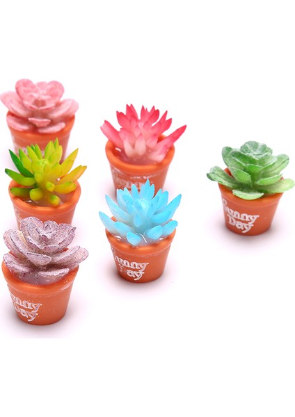 Adet Bebek Evi Minyatür Saksı Etli Bitki Bahçe Mikro Peyzaj Dekorasyon (Yurt Dışından) fiyatları