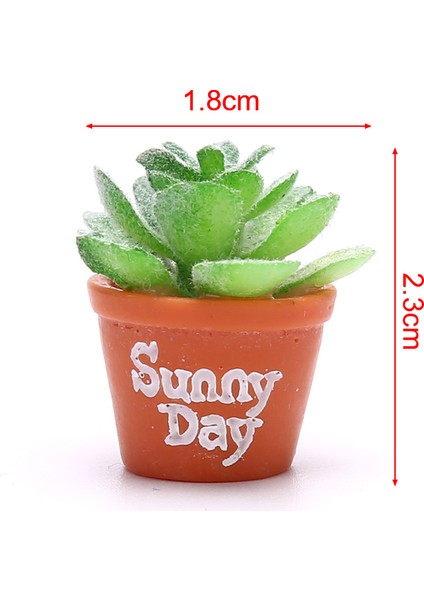 Adet Bebek Evi Minyatür Saksı Etli Bitki Bahçe Mikro Peyzaj Dekorasyon (Yurt Dışından) modelleri