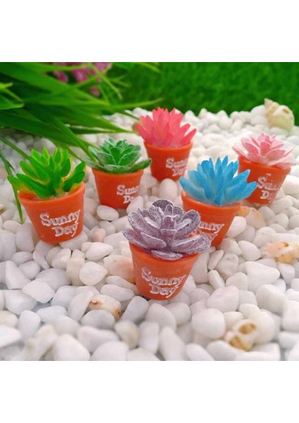 Adet Bebek Evi Minyatür Saksı Etli Bitki Bahçe Mikro Peyzaj Dekorasyon (Yurt Dışından) fırsatları