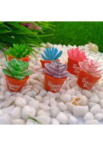 Adet Bebek Evi Minyatür Saksı Etli Bitki Bahçe Mikro Peyzaj Dekorasyon (Yurt Dışından) indirimleri