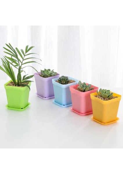 10 Adet Saksılar Kare Yetiştiricilerinin Pot Tepsi Plastik Saksılar Bitkiler Bahçe Dekor Jessica (Yurt Dışından) fırsatları