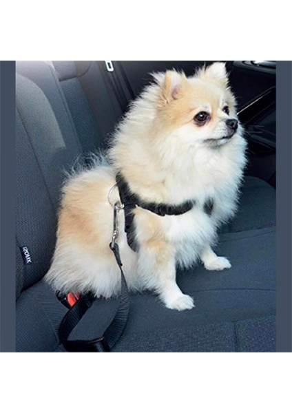Control Leash Eğitim ve Egzersiz Kontrol Kayışı Medium