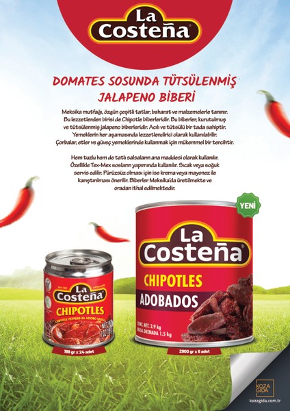 Chipotle Dom. Soslu Tütsülenmiş Jalapeno 199Gr. fırsatları