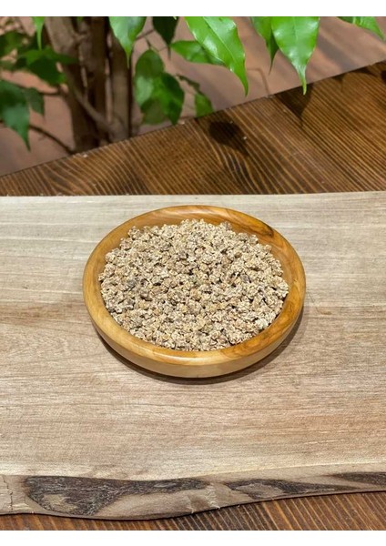 Pancar Tohumu 100 Gr