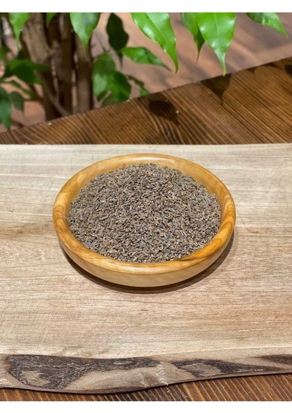 Maydonoz Tohumu 100 gr