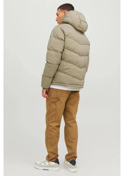 12238849 Erkek Mont - Bej modelleri