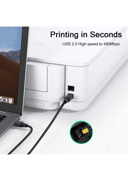 Tarayıcı, Yazıcı, Fotokopi, Fax Için USB A 'dan USB B 'ye Çevirici Dönüştürücü 3.05 Metre Kablo fırsatları