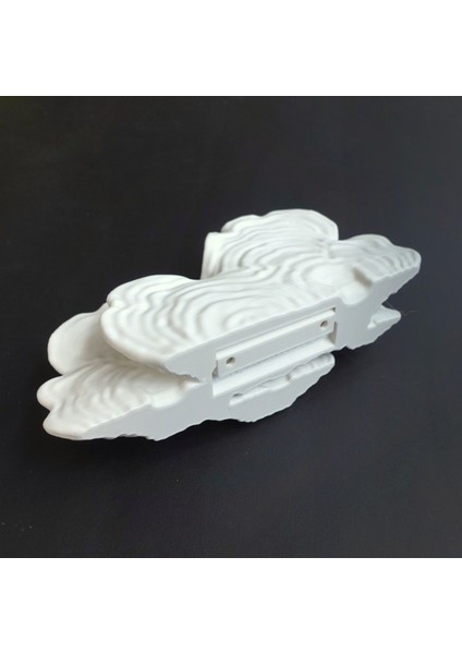 KemX3D Duvar Rafı Ostrea Mantarı