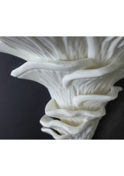 KemX3D Duvar Rafı / Djamor Mantarı