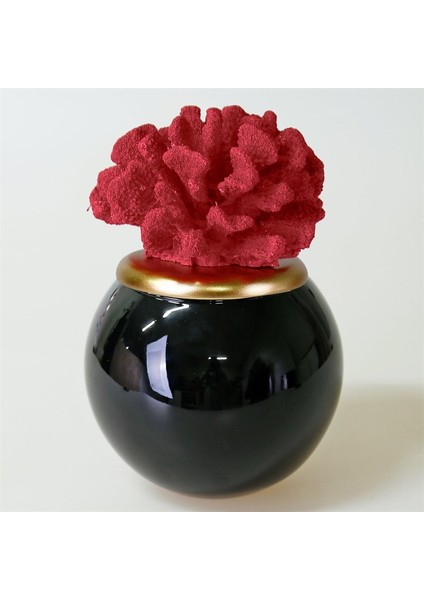 Capella Cam Küp Siyah Kırmızı