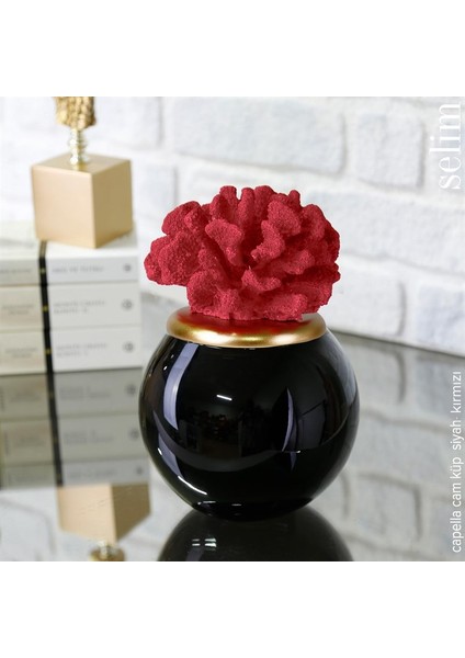 Capella Cam Küp Siyah Kırmızı fiyatları