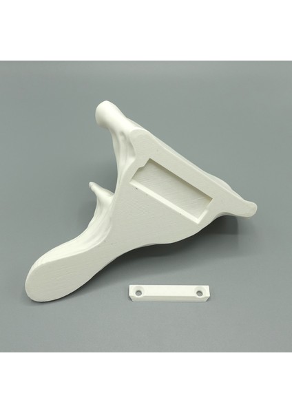KemX3D Duvar Rafı Dekorasyon - Istiridye Mantarı