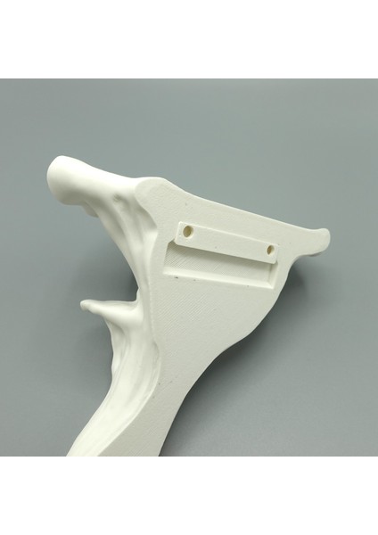 KemX3D Duvar Rafı Dekorasyon - Istiridye Mantarı