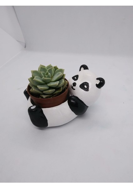 Çobanlar Hayvan Figürlü (Panda) Saksı