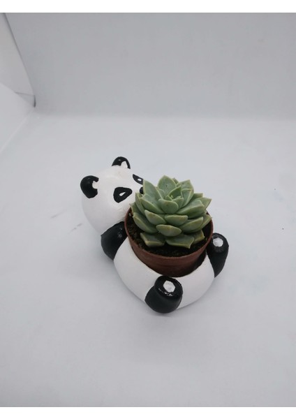 Çobanlar Hayvan Figürlü (Panda) Saksı
