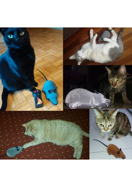Kahverengi Küçük Kablosuz Uzaktan Kumanda Fare Oyuncak Siyah/gary/kahverengi Elektronik Rc Sıçan Fareler Hayvan Interaktif Kedi Oyuncak Fareler Pet Kediler Köpekler Için Oyuncak (Yurt Dışından)