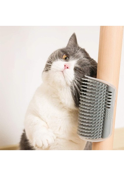 Turuncu Şeker Renk Kedi Duvar Köşe Scratcher Kauçuklar Masaj Kedi Sürtünme Saç Cihazı Kedi Tarak Masaj Fırçası Kedi Kaynağı Evcil Hayvan Aksesuarları (Yurt Dışından) fiyatları