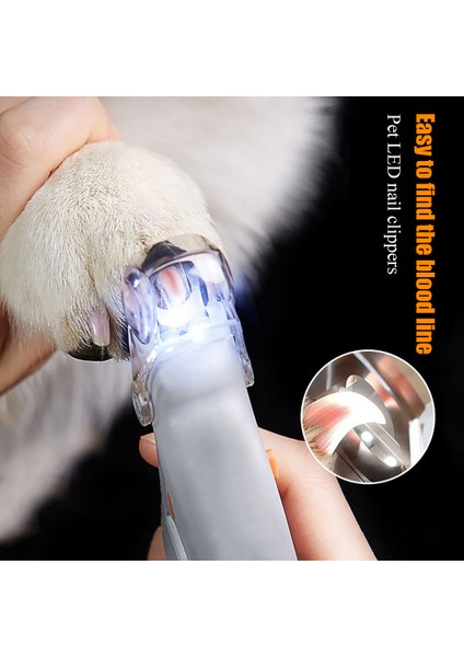 Kırmızı 1 Takım Evcil Hayvan Tırnak Makası Makas Pet Köpek Kedi Tırnak Ayak Pençe Makası Makas LED Işık Tırnak Makası Bakım Araçları Hayvanlar Evcil Hayvan Malzemeleri (Yurt Dışından) fırsatları