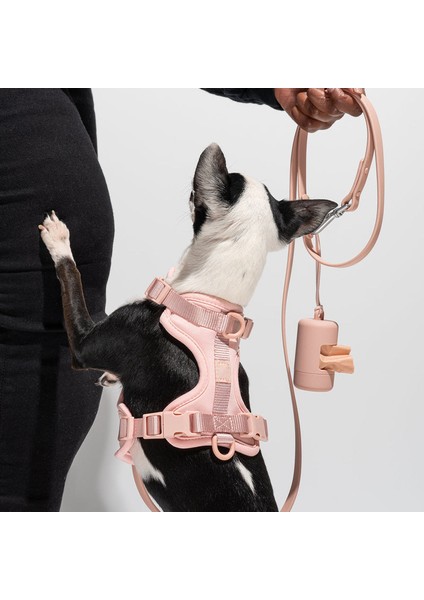 Turuncu Köpek Kaka Torbası Tutucu Yeniden Kullanılabilir Dağıtıcı Seyahat Yürüyüş Park ve Dış Mekan Kullanımı Için Dayanıklı Köpek Pet Temizlik Malzemeleri Aksesuarları (Yurt Dışından) fiyatları