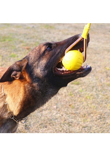 9cm Top Mavi Interaktif Köpek Oyuncakları Halat Topu Oyuncak Oynamak Için Çiğneme Köpek Eğitim Oyuncakları Taşınabilir Eva Topu Küçük Büyük Köpek Için Evcil Hayvan Malzemeleri (Yurt Dışından) fiyatları