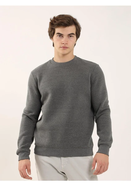 Antrasit Erkek Regular Fit Bisiklet Yaka Sweatshirt