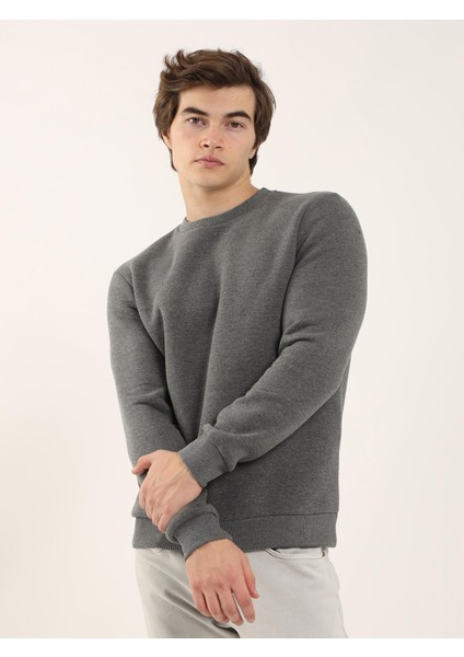 Antrasit Erkek Regular Fit Bisiklet Yaka Sweatshirt