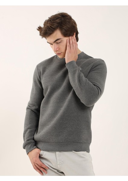 Antrasit Erkek Regular Fit Bisiklet Yaka Sweatshirt