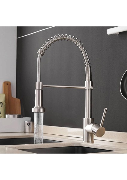 Ev Tipi Endüstriyel Spiralli Eviye Bataryası modelleri